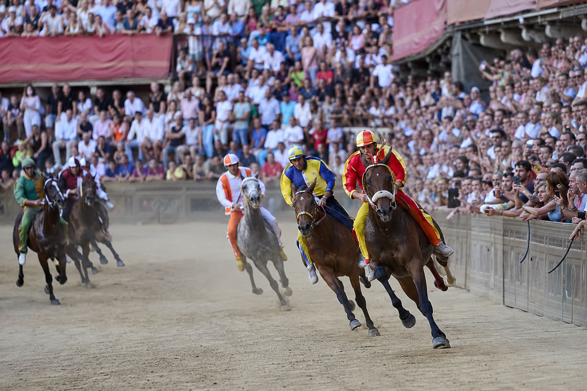 Il cavallo sta bene. L'umanità un po' meno